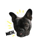 sumo the french bulldog（個別スタンプ：3）