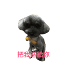 Nana＆ flower（個別スタンプ：1）