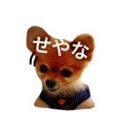 Pompom Komickey 2（個別スタンプ：6）