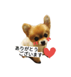 Pompom Komickey 2（個別スタンプ：7）