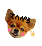Pompom Komickey 2（個別スタンプ：8）