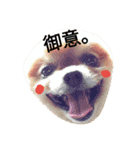 Pompom Komickey 2（個別スタンプ：9）