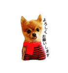 Pompom Komickey 2（個別スタンプ：11）