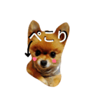 Pompom Komickey 2（個別スタンプ：12）