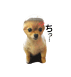 Pompom Komickey 2（個別スタンプ：13）