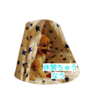 Pompom Komickey 2（個別スタンプ：15）