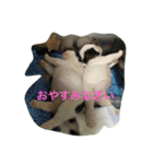 真面目なブルドッグ（個別スタンプ：15）