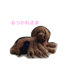 ルナサラホコ（個別スタンプ：2）