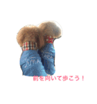 ルナサラホコ（個別スタンプ：4）