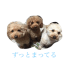 ルナサラホコ（個別スタンプ：9）