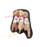ルナサラホコ（個別スタンプ：13）