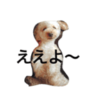 ルナサラホコ（個別スタンプ：16）