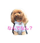 ルナサラホコ（個別スタンプ：18）