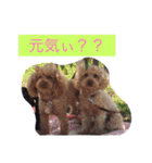 ルナサラホコ（個別スタンプ：19）