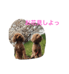 ルナサラホコ（個別スタンプ：23）