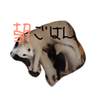 ミルの日常・家族版（個別スタンプ：9）