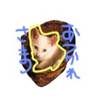 ミルの日常・家族版（個別スタンプ：14）