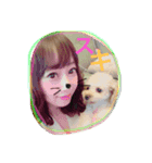 トイプードルのクッキー君（個別スタンプ：4）
