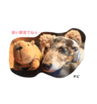 チビサブ兄弟（個別スタンプ：7）