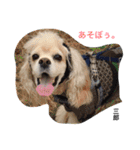チビサブ兄弟（個別スタンプ：14）