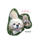 チビサブ兄弟（個別スタンプ：33）