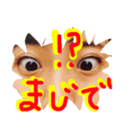 やっぴーまみりん（個別スタンプ：4）