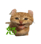 Kinakun（個別スタンプ：3）