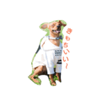 星音と心音（個別スタンプ：1）