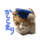 ぴんすたんぷ（個別スタンプ：19）