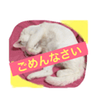 ネジュ様2（個別スタンプ：5）