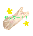 ネジュ様2（個別スタンプ：6）