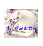 ネジュ様2（個別スタンプ：12）