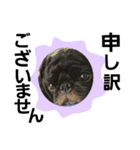 kuropugpug（個別スタンプ：9）