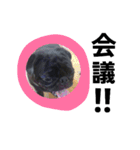 kuropugpug（個別スタンプ：40）