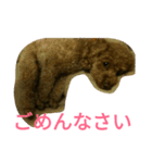 トイプードルのふくちゃんです！（個別スタンプ：16）