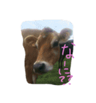 日常で使えるやつで（個別スタンプ：4）