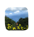日常で使えるやつで（個別スタンプ：11）