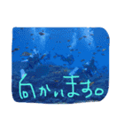 日常で使えるやつで（個別スタンプ：13）