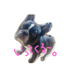 ひろみがつくる。（個別スタンプ：4）
