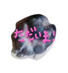 ひろみがつくる。（個別スタンプ：5）