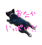 ひろみがつくる。（個別スタンプ：15）
