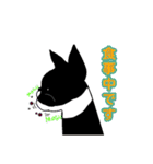 ボストンテリアで、日常スタンプ（個別スタンプ：23）
