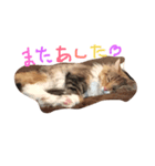 emalove（個別スタンプ：3）