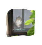 emalove（個別スタンプ：4）