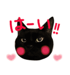 ベンガル＆友だちニャンこのスタンプ（個別スタンプ：6）