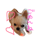 みくここ（個別スタンプ：3）