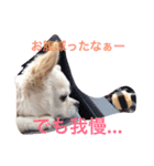 みくここ（個別スタンプ：9）