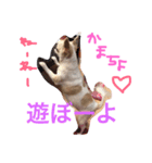 みくここ（個別スタンプ：10）