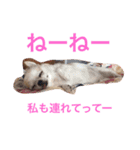 みくここ（個別スタンプ：11）