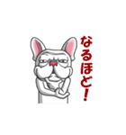 Funny French bulldog（個別スタンプ：21）